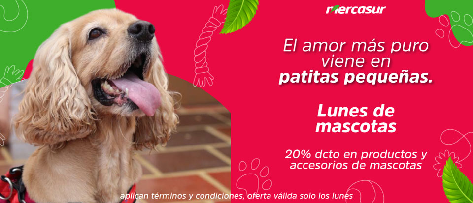 LUNES DE MASCOTAS ENERO-FEBRERO
