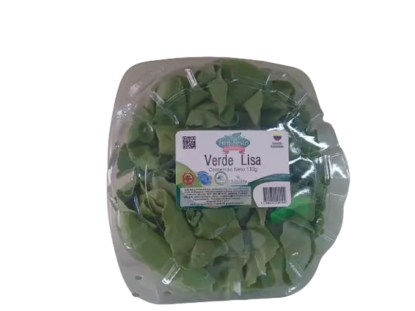 Lechuga Verde Lisa Pet