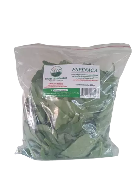 Espinaca