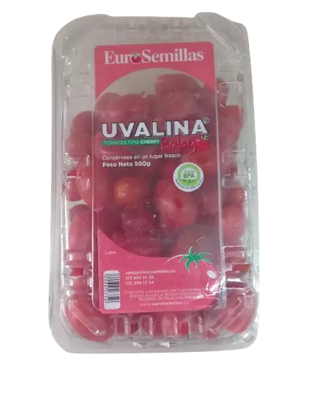 Tomate Uvalina Baby 500gr