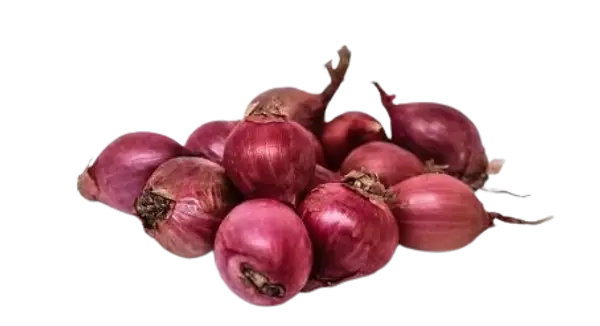 Cebolla Encurtir Ocañera Kg