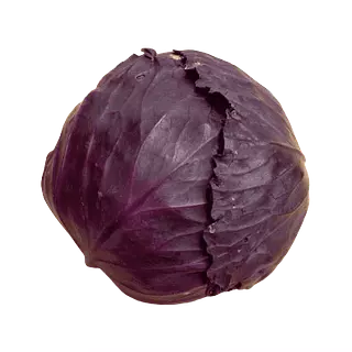 Repollo Morado Kg