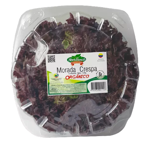 Lechuga Morada Crespa 120 Gr Organica