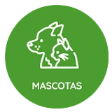 Los Mejores Productos para Mascotas a Domicilio  