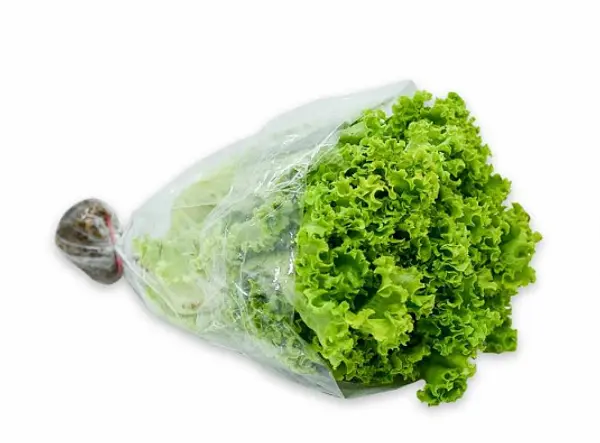 Lechuga Crespa Verde 200 Gr