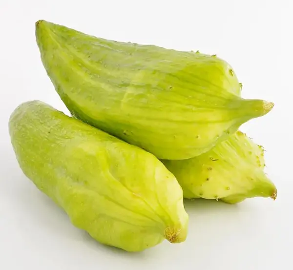 Pepino De Rellenar Kg