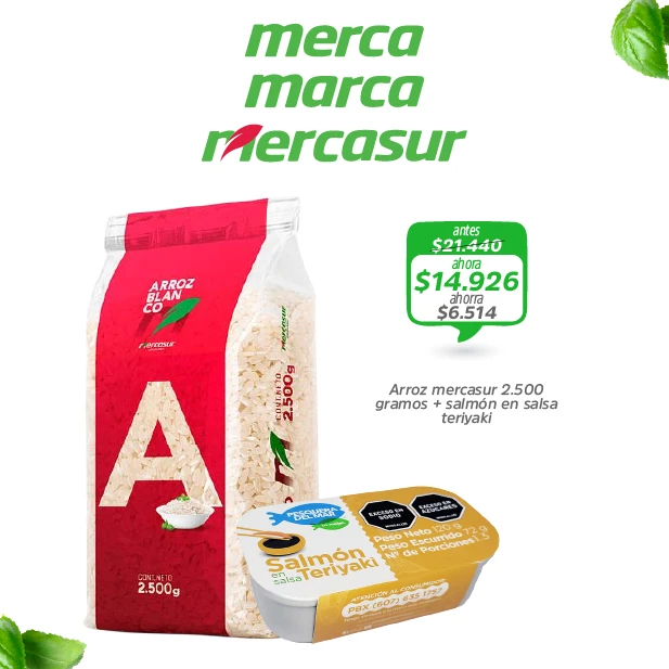 COMBO ARROZ + SALMÓN