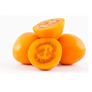 Tomate Arbol Amarillo