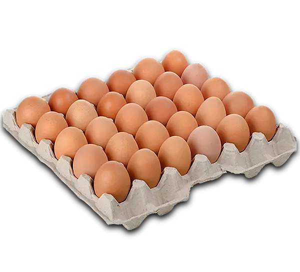 Huevos A X30 Unidades