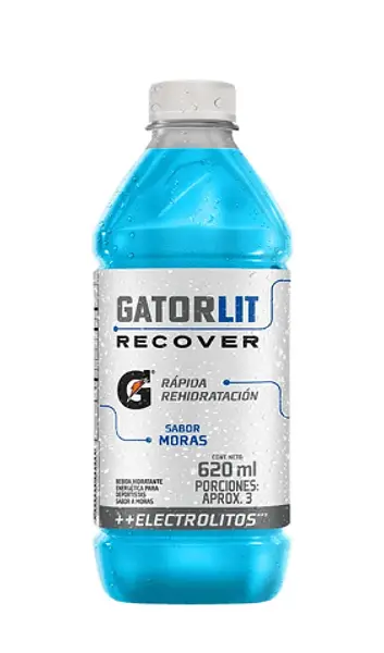 Gatorlit Mora 620ml Pet
