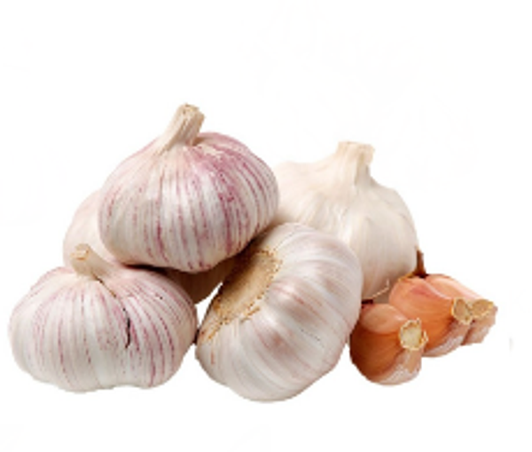 Ajo Criollo Kg