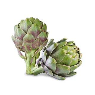 Alcachofa Gran Cherry Und