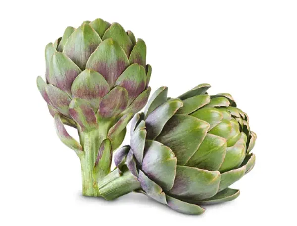 Alcachofa Gran Cherry Und