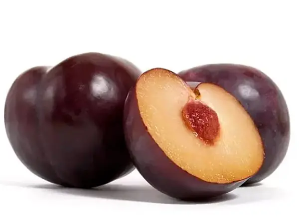 Ciruela Americana Und