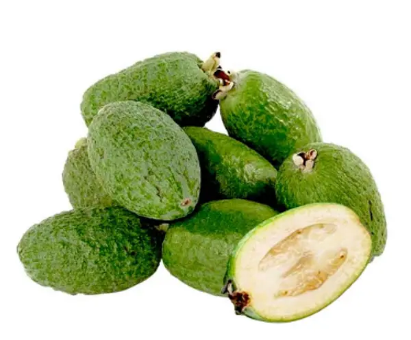 Feijoa Kg