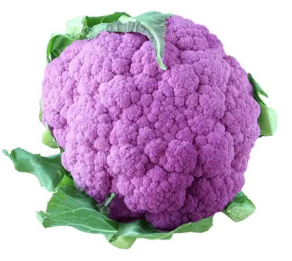 Coliflor Morado Kg