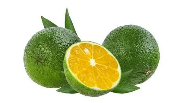 Limon Mandarino Kg
