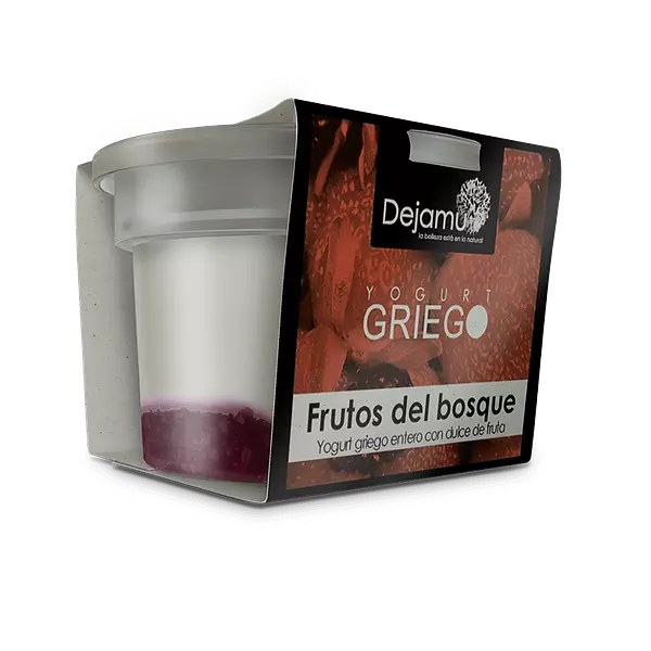 Yogurt Griego Dejamu Frutos Del Bosque