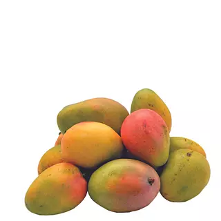 Mango Azúcar