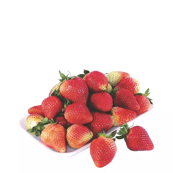 Fresas