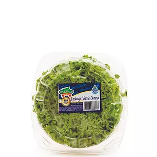 Lechuga Verde Crespa Pet
