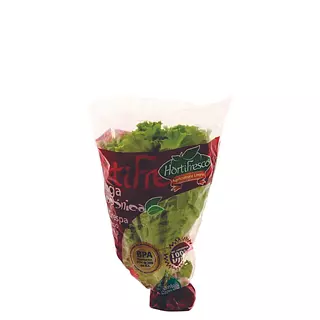 Lechuga Hidropónica Crespa