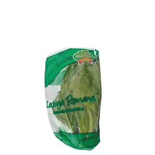 Lechuga Romana