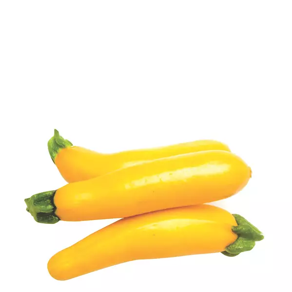 Calabazin Amarillo