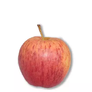 Manzana Royal